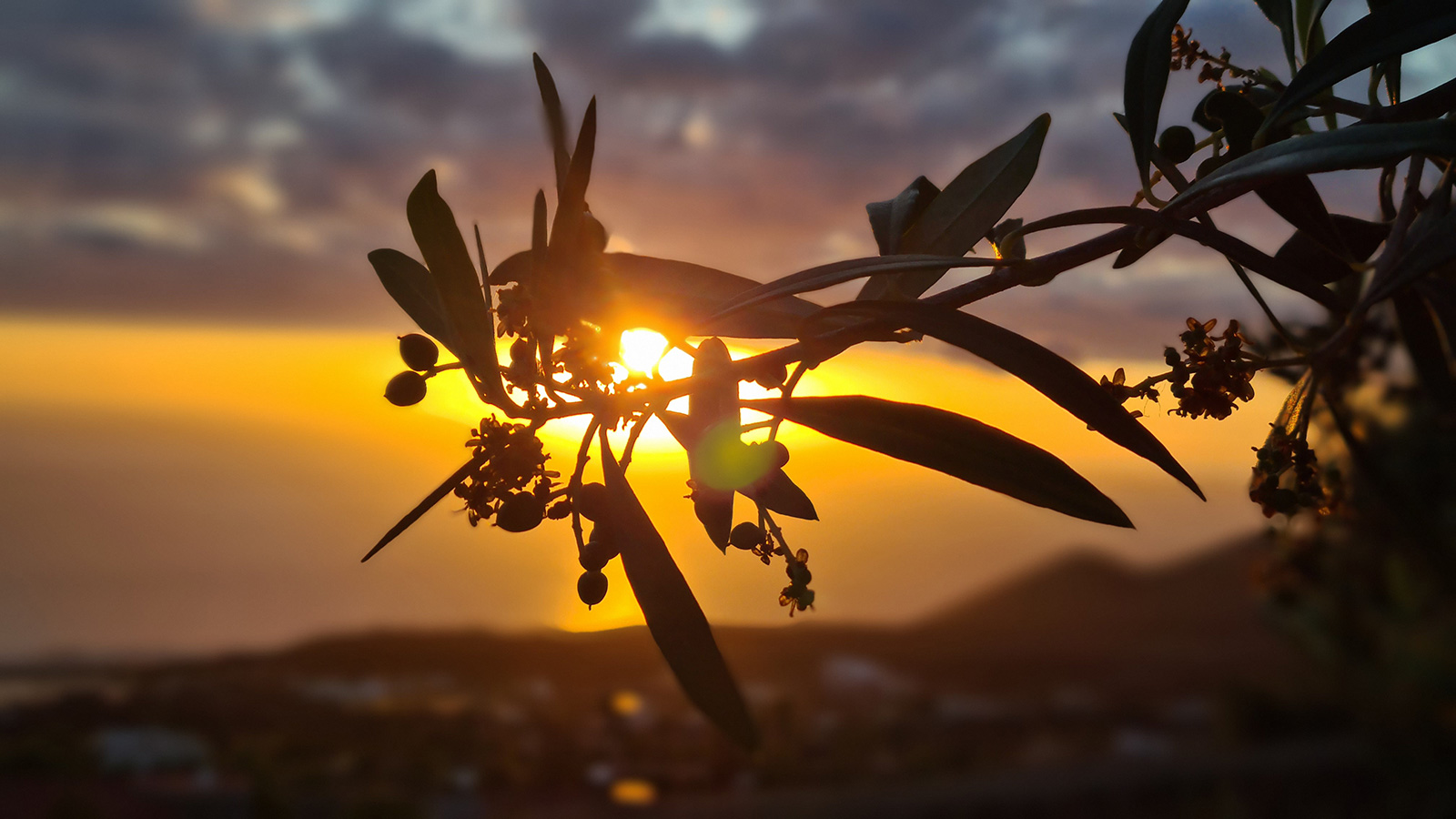 Foto der Woche